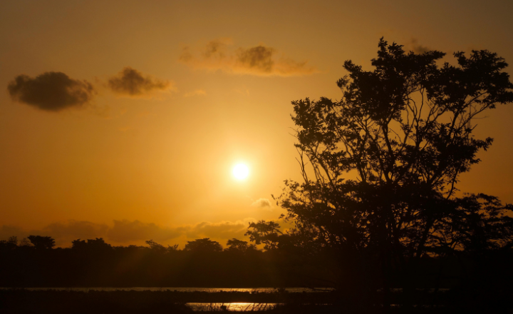 Sigiriya Sunrise View