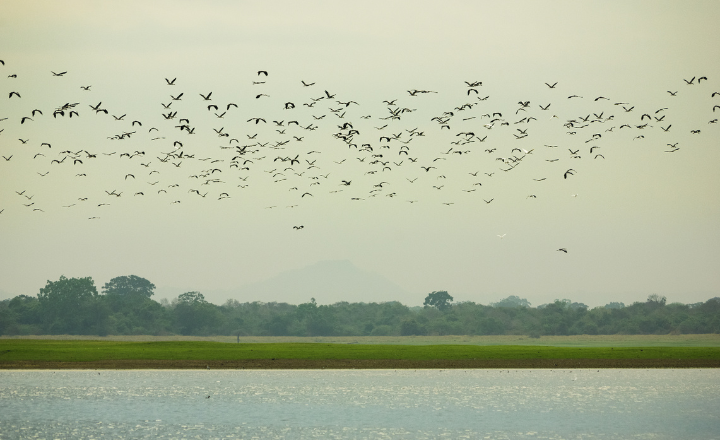 Parakrama Samudra (Sea of Parakrama)
