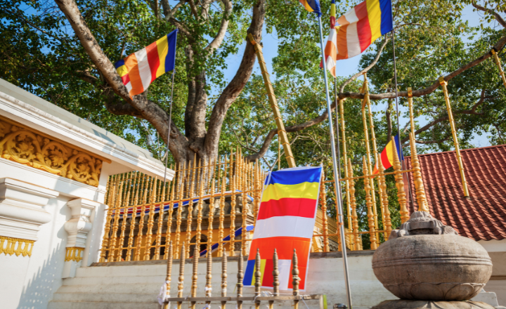 Sri Maha Bodhi Tree (Jaya Sri Maha Bodhi)