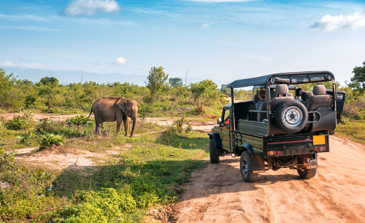 Sri lanka Jeep Safaris